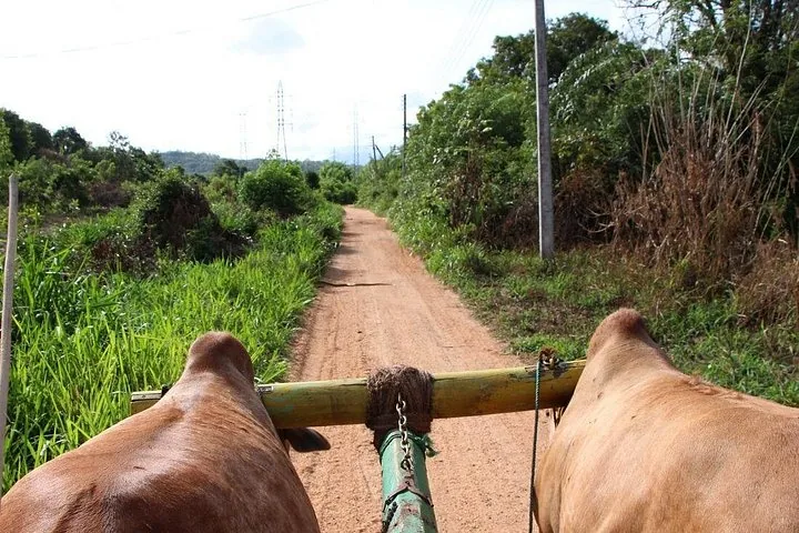 Tourfoto