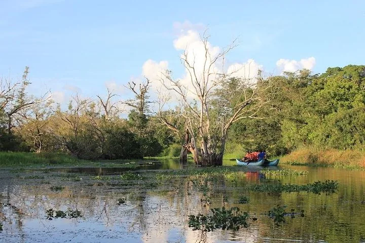 Des personnes dans un petit bateau naviguant sur un lac tranquille avec des arbres morts.